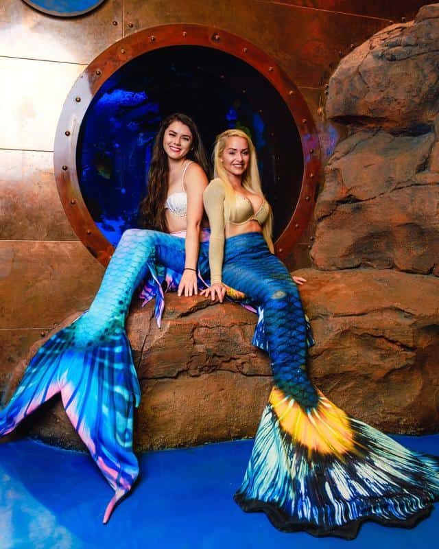 Aquarium Mermaid Show 2