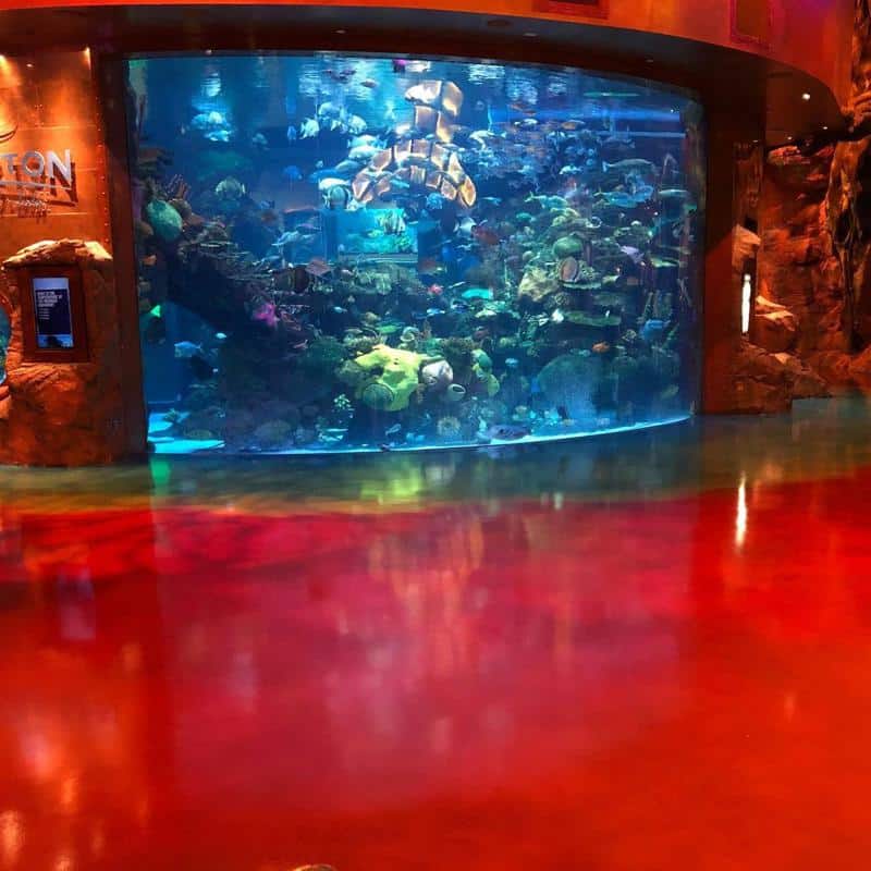 silverton aquarium